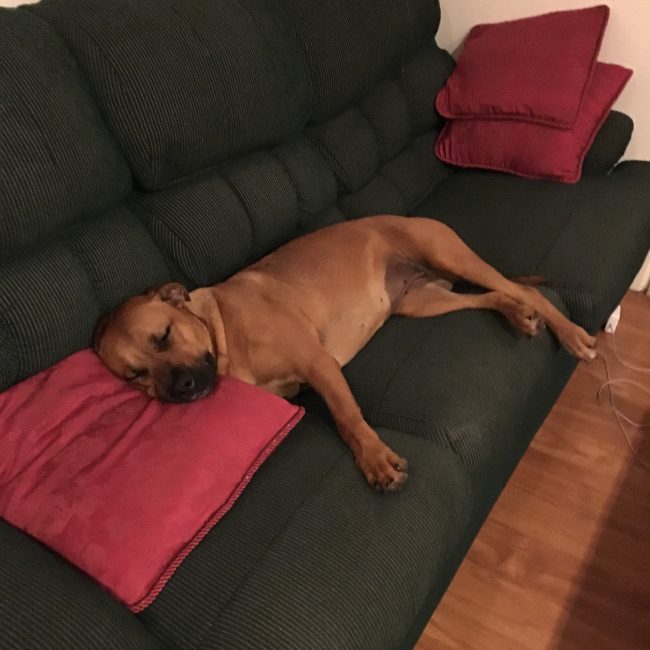 Sleepy girl